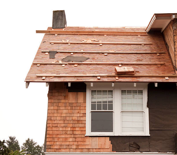 Affordable Siding Repair and Maintenance Services in Golden Valley, AZ